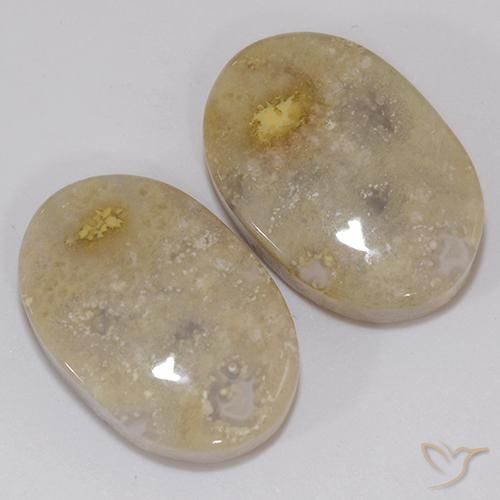 Gemme di Corallo fossile Multicolore naturale da 21.60 ct, Ovale, Opaco