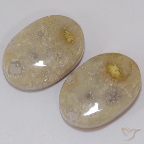 Gemme di Corallo fossile Multicolore naturale da 21.60 ct, Ovale, Opaco