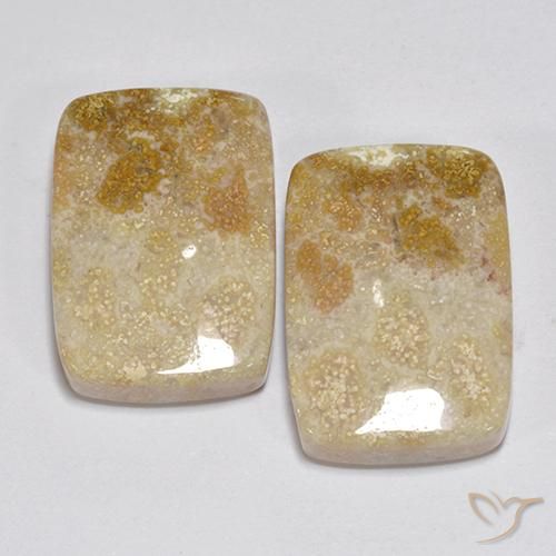 31.35ctw Naturale Multicolore Corallo fossile, Cuscino, Opaco