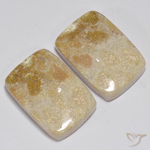 Gemme di Corallo fossile Multicolore naturale da 31.35 ct, Cuscino, Opaco