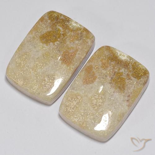 Gemme di Corallo fossile Multicolore naturale da 31.35 ct, Cuscino, Opaco