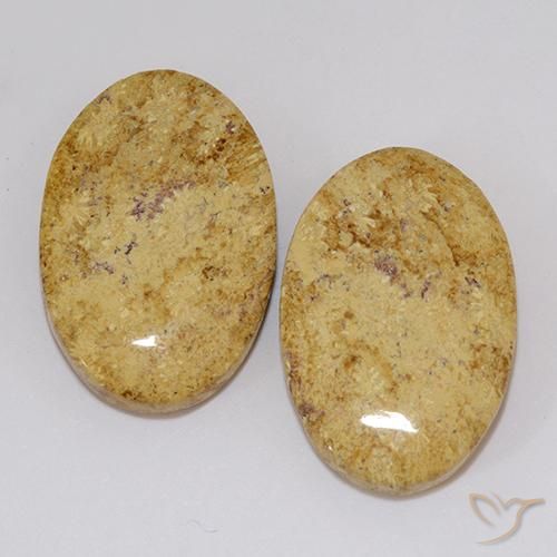 19.18ctw Naturale Multicolore Corallo fossile, Ovale, Opaco