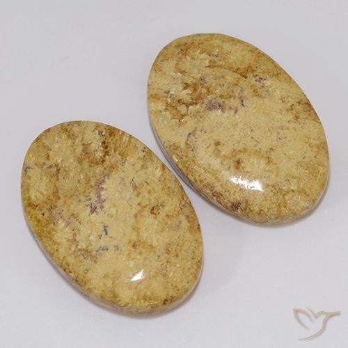 Gemme di Corallo fossile Multicolore naturale da 19.18 ct, Ovale, Opaco