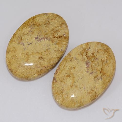 Gemme di Corallo fossile Multicolore naturale da 19.18 ct, Ovale, Opaco