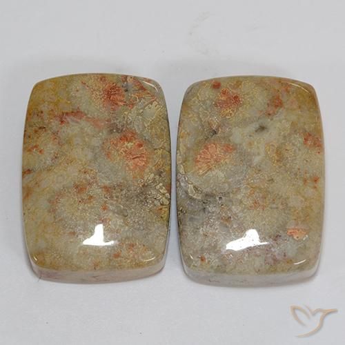 46.76ctw Naturale Multicolore Corallo fossile, Cuscino, Opaco