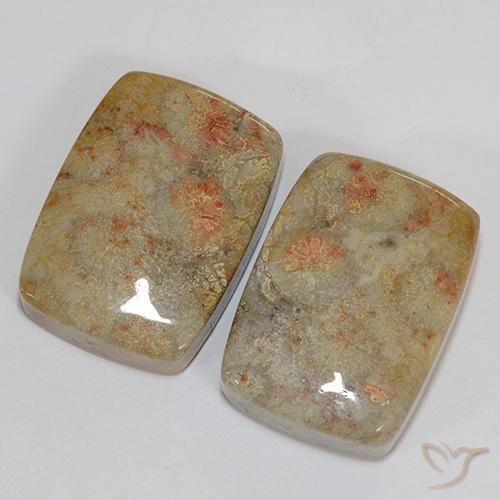 Gemme di Corallo fossile Multicolore naturale da 46.76 ct, Cuscino, Opaco