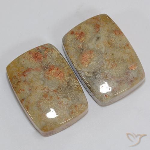 Gemme di Corallo fossile Multicolore naturale da 46.76 ct, Cuscino, Opaco