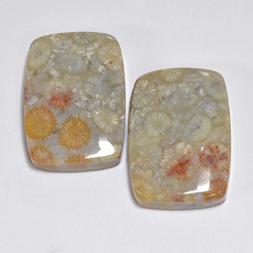 Gemme di Corallo fossile Multicolore naturale da 31.96 ct, Taglio a cuscino, Opaco