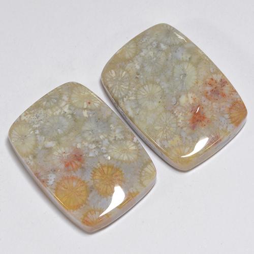 Gemme di Corallo fossile Multicolore naturale da 31.96 ct, Taglio a cuscino, Opaco