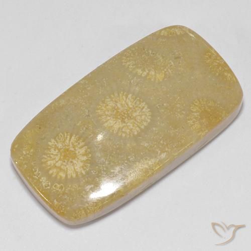 Corallo fossile Multicolore naturale da 14.52 ct, Cuscino, Opaco
