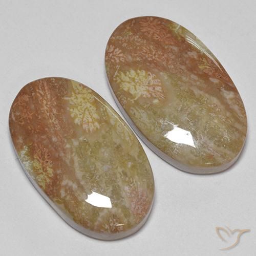 Gemme di Corallo fossile Multicolore naturale da 30.58 ct, Ovale, Opaco