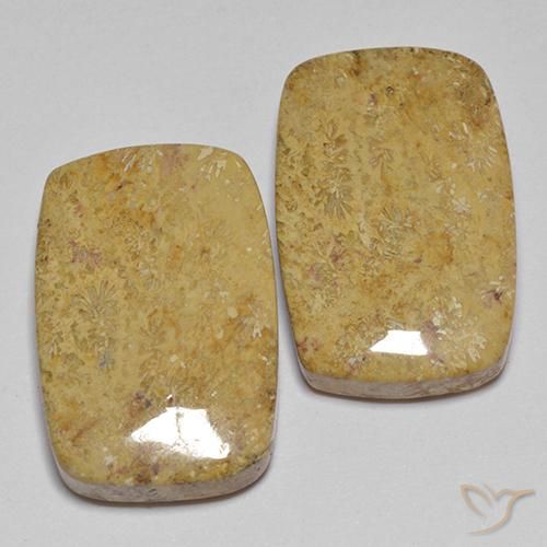 Gemme di Corallo fossile Multicolore naturale da 28.04 ct, Cuscino, Opaco