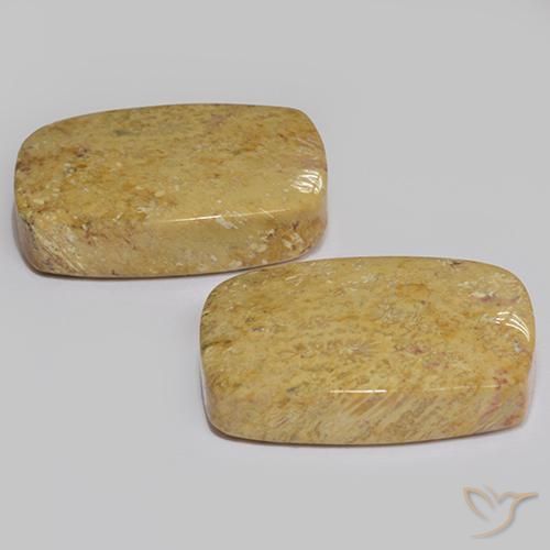 Gemme di Corallo fossile Multicolore naturale da 28.04 ct, Cuscino, Opaco