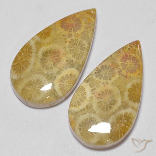 Gemme di Corallo fossile Multicolore naturale da 15.93 ct, Forma a pera, Opaco