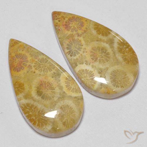 Gemme di Corallo fossile Multicolore naturale da 15.93 ct, Forma a pera, Opaco