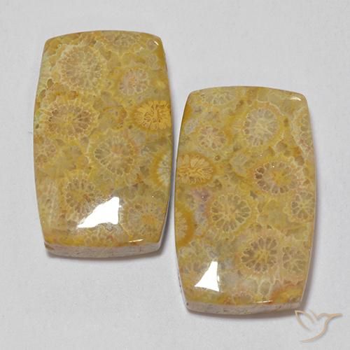 28.73ctw Naturale Multicolore Corallo fossile, Cuscino, Opaco