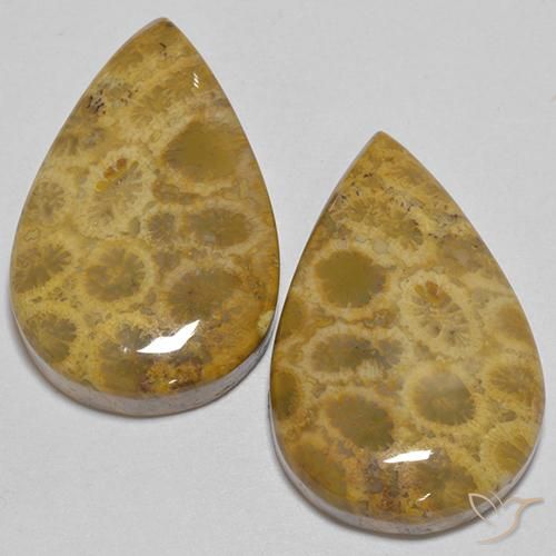 40.40ctw Naturale Multicolore Corallo fossile, Forma a pera, Opaco