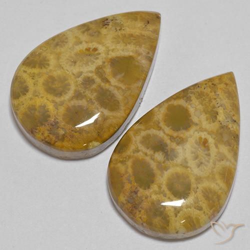 Gemme di Corallo fossile Multicolore naturale da 40.40 ct, Forma a pera, Opaco