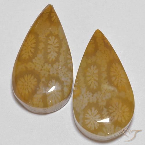 21.24ctw Naturale Multicolore Corallo fossile, Forma a pera, Opaco