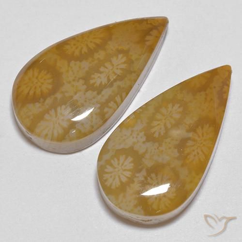 Gemme di Corallo fossile Multicolore naturale da 21.24 ct, Forma a pera, Opaco