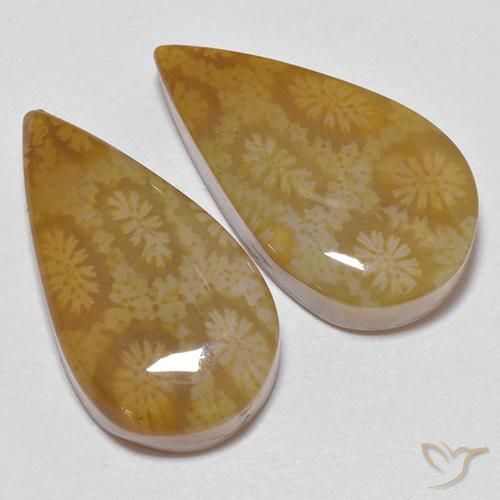 Gemme di Corallo fossile Multicolore naturale da 21.24 ct, Forma a pera, Opaco