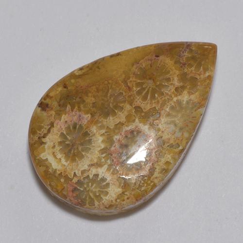 Corallo fossile Multicolore naturale da 13.74 ct, Forma a pera, Opaco