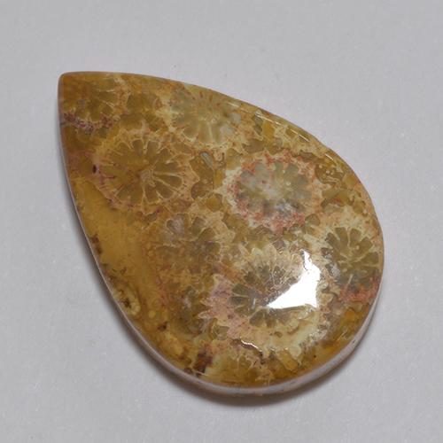 Corallo fossile Multicolore naturale da 13.74 ct, Forma a pera, Opaco