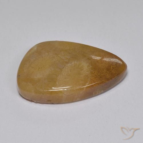 Corallo fossile Multicolore naturale da 8.15 ct, Taglio a fantasia, Opaco