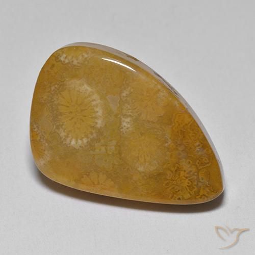 Corallo fossile Multicolore naturale da 9.42 ct, Taglio a fantasia, Opaco