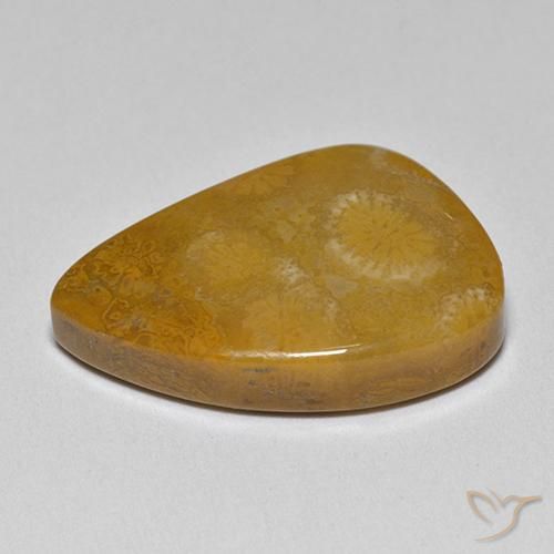Corallo fossile Multicolore naturale da 9.42 ct, Taglio a fantasia, Opaco