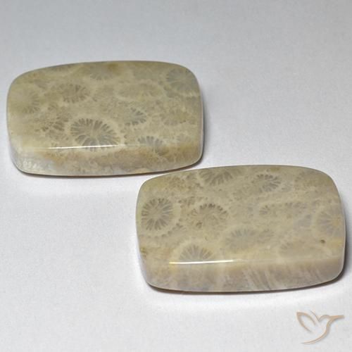 Gemme di Corallo fossile Multicolore naturale da 29.07 ct, Cuscino, Opaco