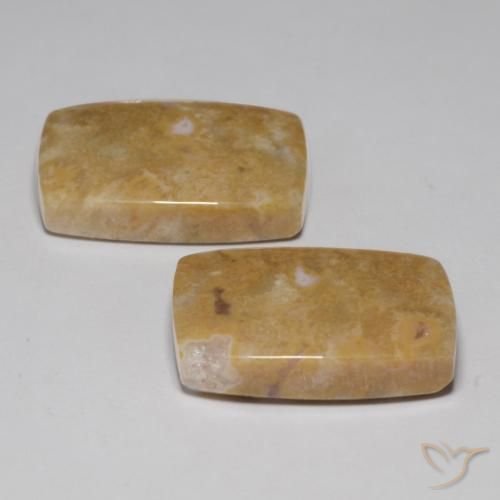 Gemme di Corallo fossile Multicolore naturale da 29.09 ct, Cuscino, Opaco