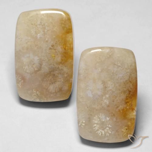 29.43ctw Naturale Multicolore Corallo fossile, Cuscino, Opaco