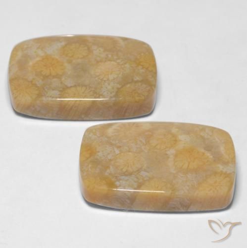 Gemme di Corallo fossile Multicolore naturale da 28.65 ct, Cuscino, Opaco