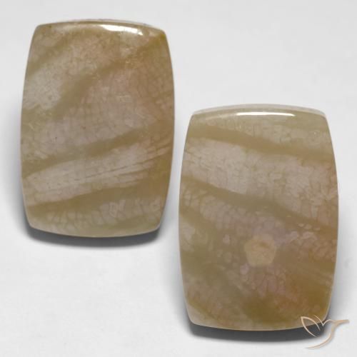 27.98ctw Naturale Multicolore Corallo fossile, Cuscino, Opaco