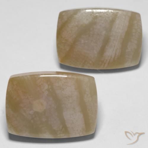 Gemme di Corallo fossile Multicolore naturale da 27.98 ct, Cuscino, Opaco