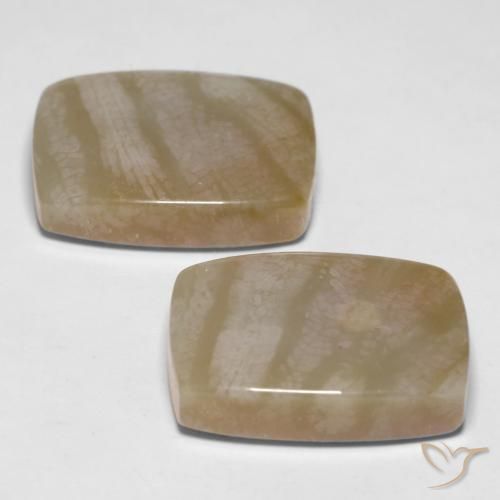 Gemme di Corallo fossile Multicolore naturale da 27.98 ct, Cuscino, Opaco