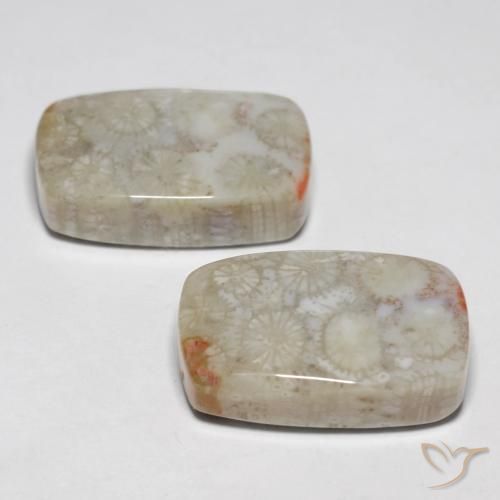 Gemme di Corallo fossile Multicolore naturale da 23.76 ct, Cuscino, Opaco
