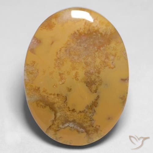 Corallo fossile Multicolore naturale da 12.65 ct, Ovale, Opaco
