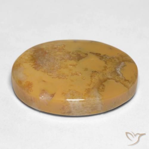 Corallo fossile Multicolore naturale da 12.65 ct, Ovale, Opaco