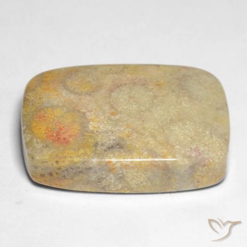 Corallo fossile Multicolore naturale da 17.45 ct, Cuscino, Opaco