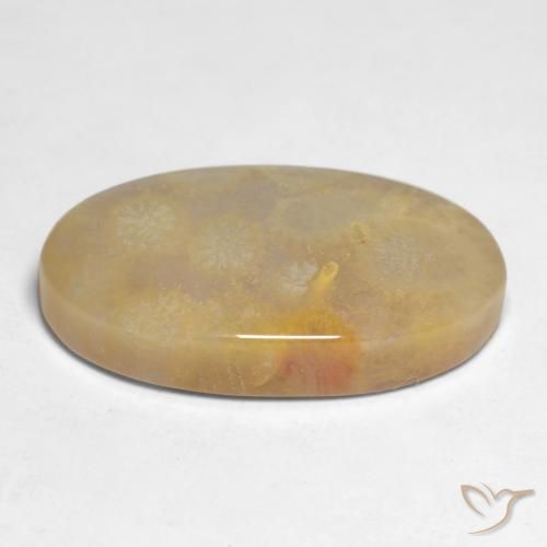 Corallo fossile Multicolore naturale da 10.66 ct, Ovale, Opaco