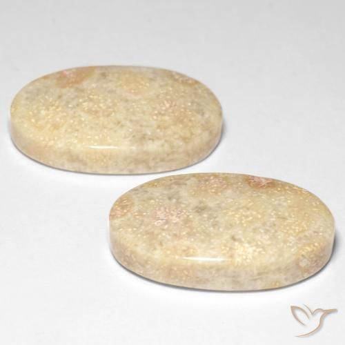 Gemme di Corallo fossile Multicolore naturale da 29.31 ct, Ovale, Opaco