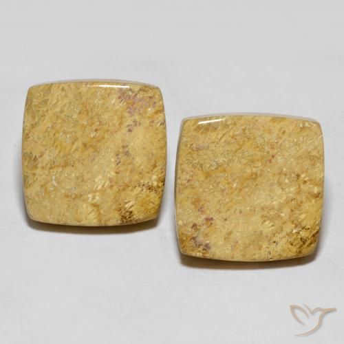 30.55ctw Naturale Multicolore Corallo fossile, Cuscino, Opaco