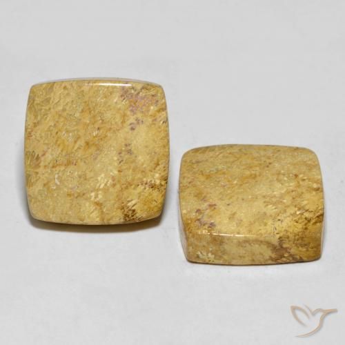 Gemme di Corallo fossile Multicolore naturale da 30.55 ct, Cuscino, Opaco