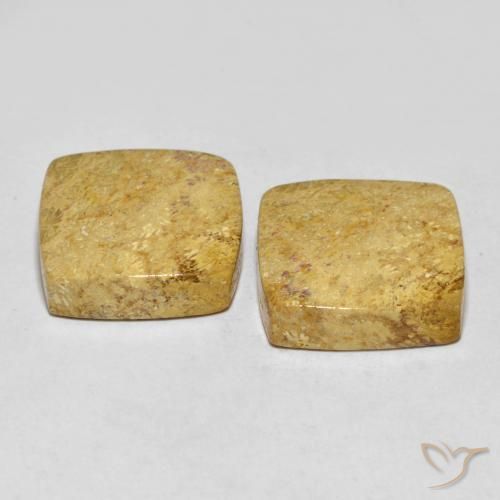 Gemme di Corallo fossile Multicolore naturale da 30.55 ct, Cuscino, Opaco