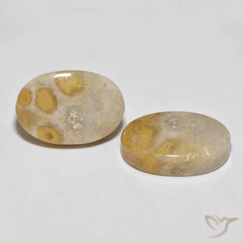 Gemme di Corallo fossile Multicolore naturale da 25.55 ct, Ovale, Opaco