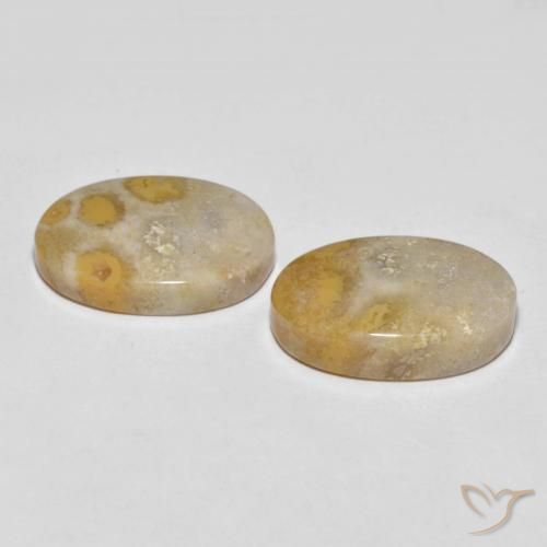 Gemme di Corallo fossile Multicolore naturale da 25.55 ct, Ovale, Opaco