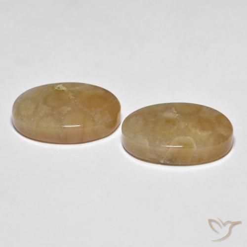 Gemme di Corallo fossile Multicolore naturale da 22.89 ct, Ovale, Opaco