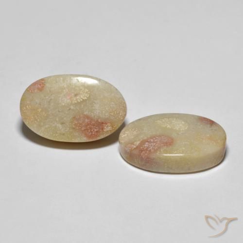 Gemme di Corallo fossile Multicolore naturale da 23.37 ct, Ovale, Opaco